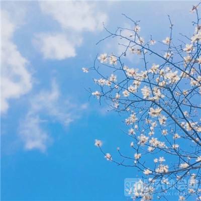 街头快打中文版(暂未上线)v1.1.1.1 安卓版